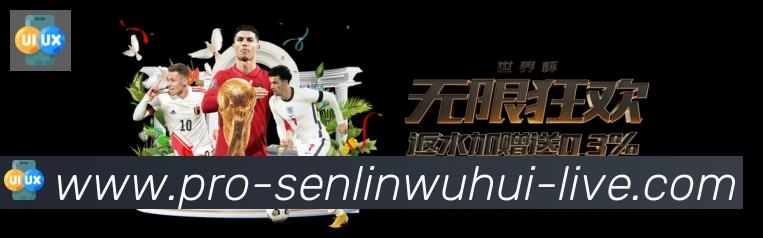 未来规划